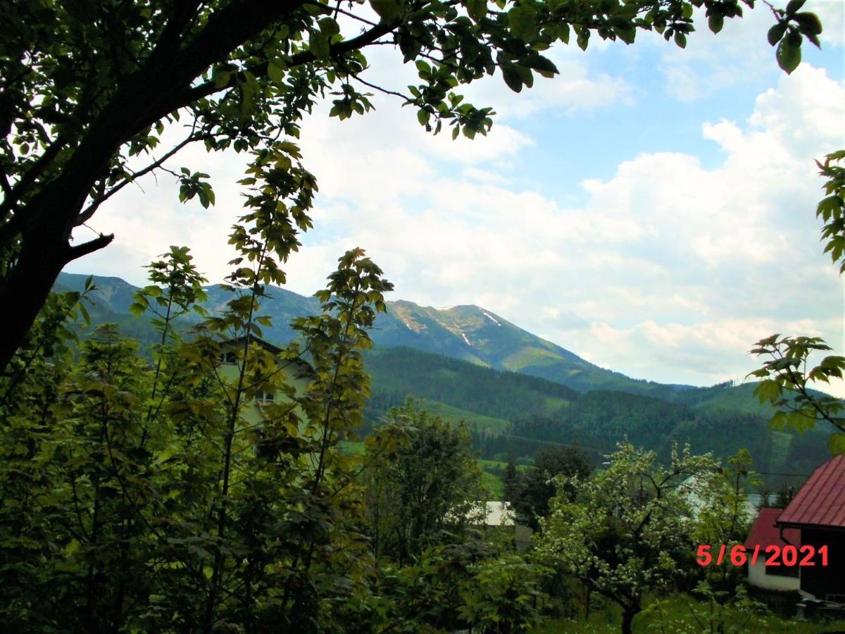 Drevenica Art Galery Villa Liptovska Luzna Bagian luar foto